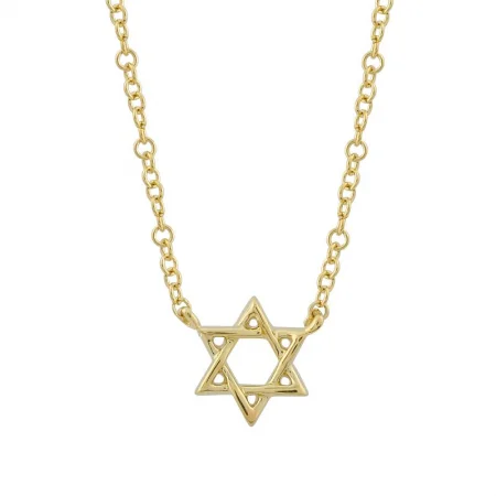 Petite Gold Star of David Necklace